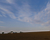 farmland-_1.jpg