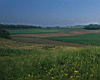 fields-_1.jpg