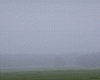 fog.jpg