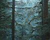 forest012.jpg