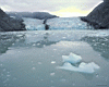 glacier_bay.jpg
