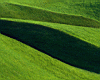 grass1.jpg