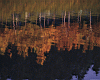 lake001.jpg