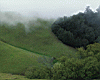 misty_hills.jpg