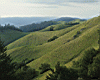 rolling_hills_2.jpg